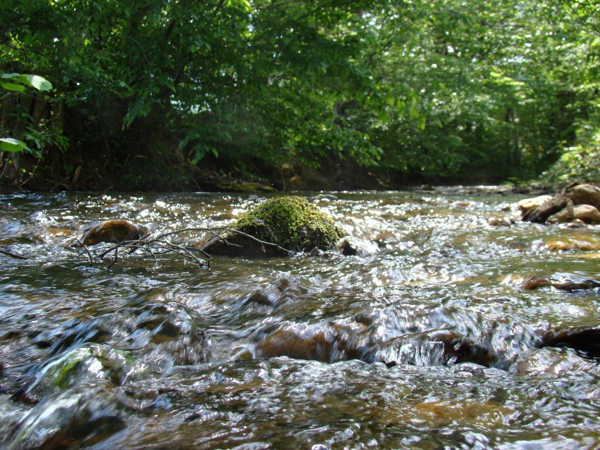 Schwanberg Gasthof Stegweber מראה חיצוני תמונה
